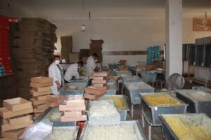کارگاه تولیدی و نیروگاه خورشیدی