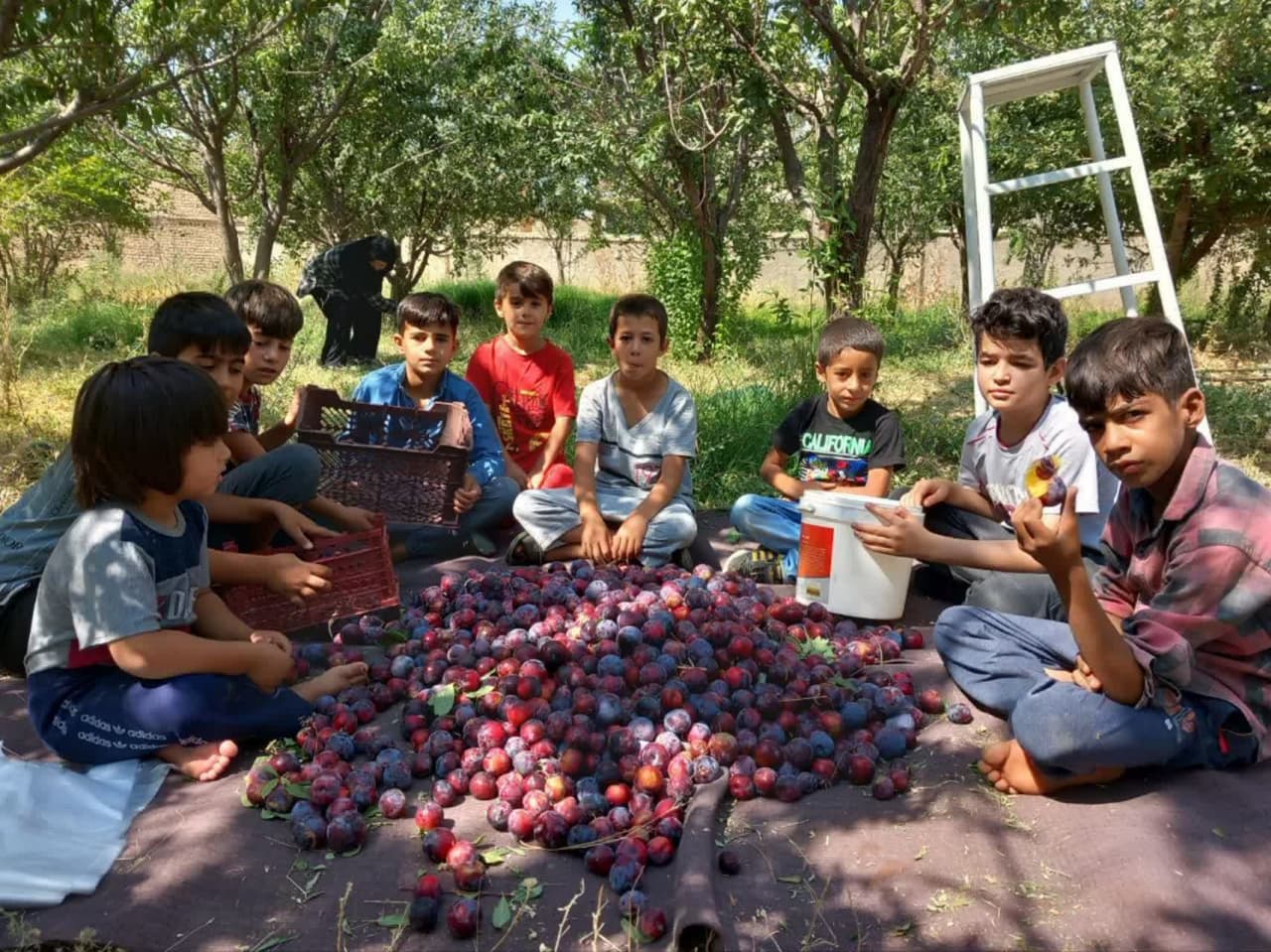 روستای موغان