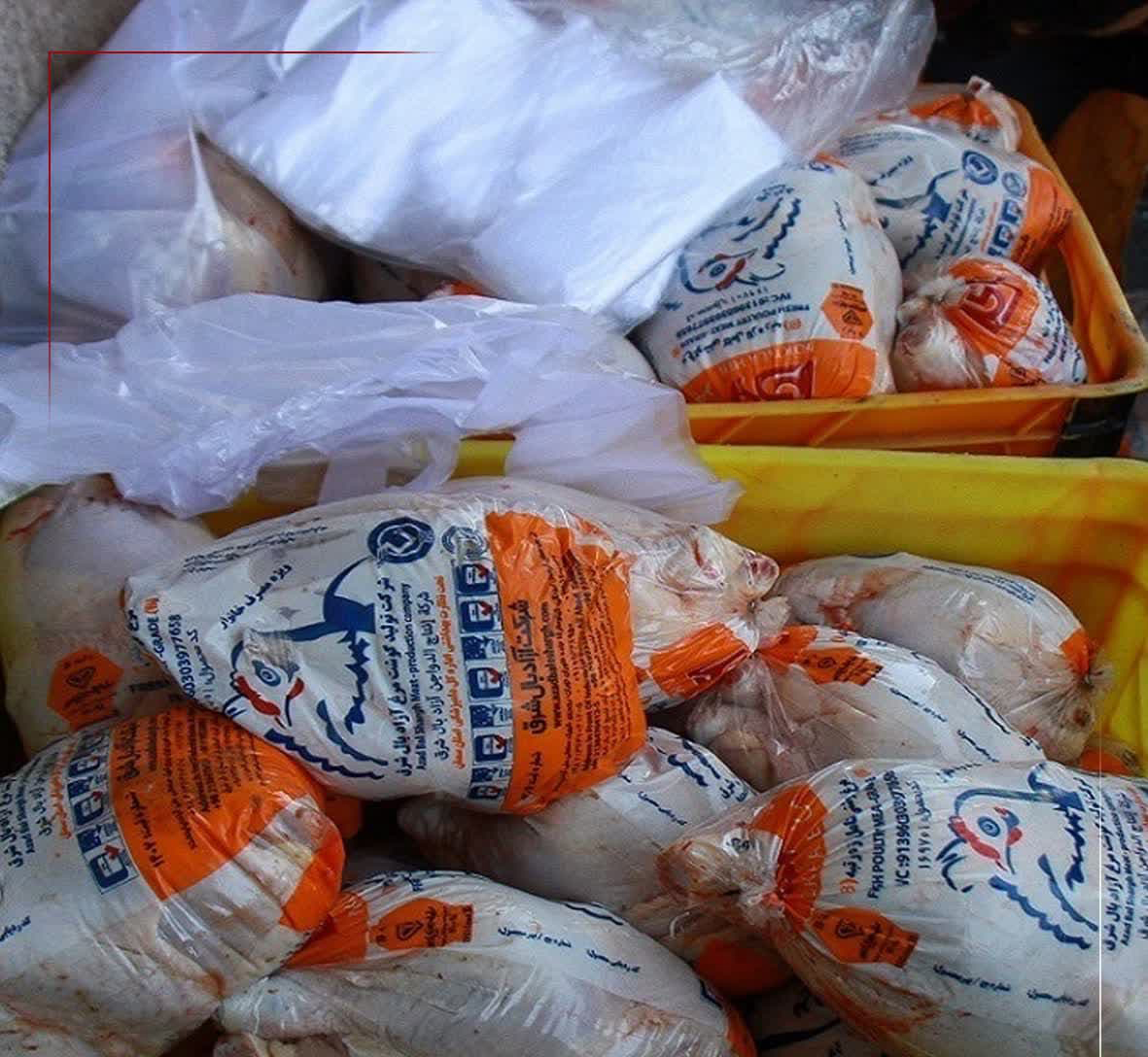 مرغ منجمد