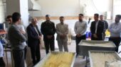 کارگاه تولیدی و نیروگاه خورشیدی