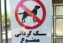 سگ گردانی ممنوع