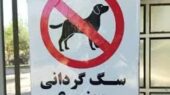 سگ گردانی ممنوع