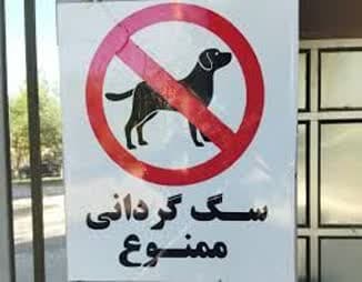 سگ گردانی ممنوع