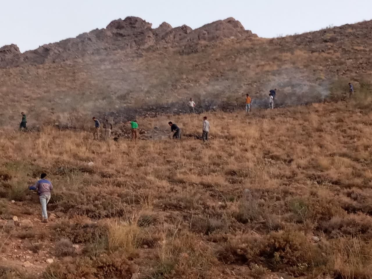 دامنه