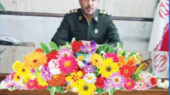 افشاری