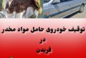 پلیس فریدن