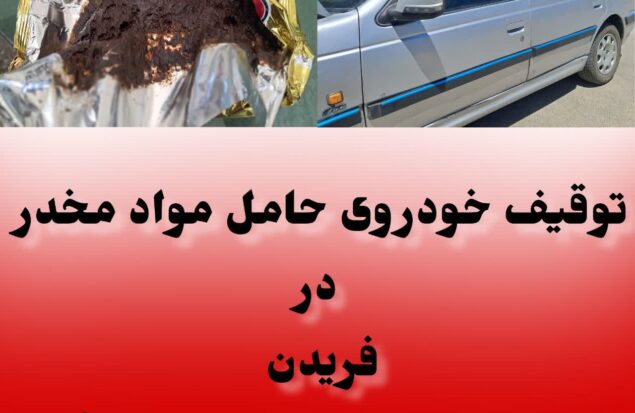 پلیس فریدن