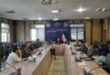 فرمانداری فریدن